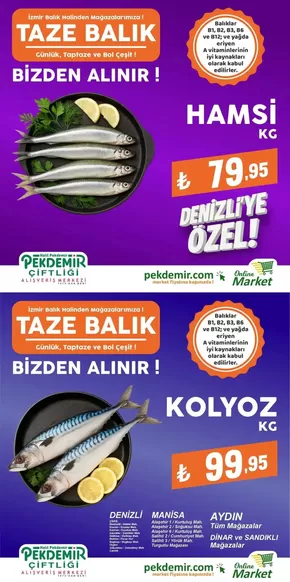 Pekdemir kataloğu, Denizli (Denizli) | Sizin için en iyi tekliflerimiz | 2025-09-11T00:00:00.000Z - 2025-09-25T00:00:00.000Z