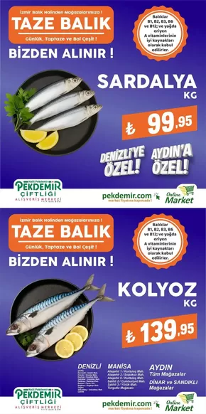 Pekdemir kataloğu, Denizli (Denizli) | Fırsat avcıları için teklifler | 2025-09-18T00:00:00.000Z - 2025-10-02T00:00:00.000Z