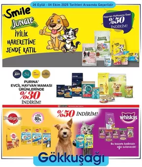 Gökkuşağı Market kataloğu | Güncel fırsatlar ve teklifler | 2025-09-26T00:00:00.000Z - 2025-10-10T00:00:00.000Z