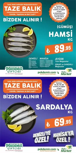 Pekdemir kataloğu, Merkez (Tokat) | Sizin için özel teklifler | 2025-09-26T00:00:00.000Z - 2025-10-10T00:00:00.000Z