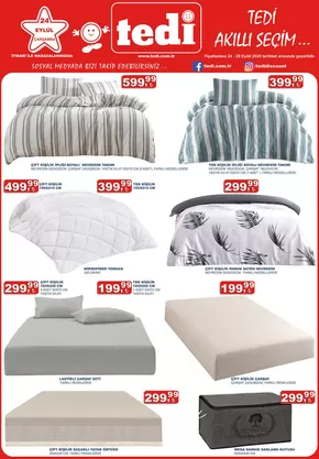 Tedi katalog