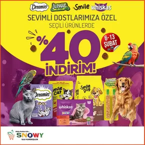 Snowy Market kataloğu, Pirinççi | Şimdi fırsatlarımızla tasarruf edin | 2025-10-02T00:00:00.000Z - 2025-10-16T00:00:00.000Z