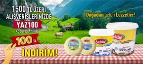 Karlıdağ Market kataloğu, İstanbul | Güncel fırsatlar ve teklifler | 2025-10-08T00:00:00.000Z - 2025-10-22T00:00:00.000Z
