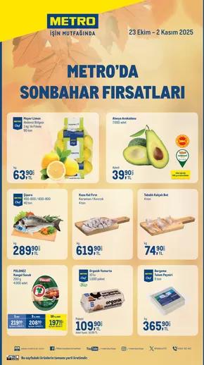 Metro kataloğu | Metro'da Sonbahar Fırsatları | 2025-10-24T00:00:00.000Z - 2025-11-07T00:00:00.000Z