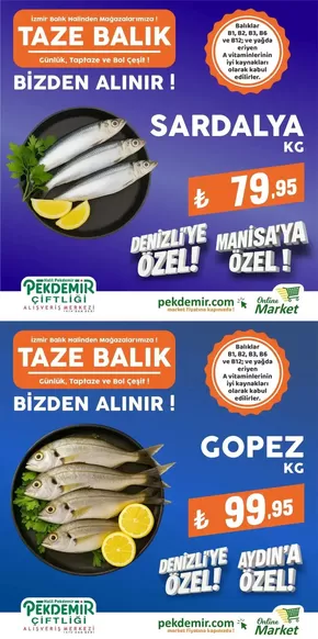 Pekdemir kataloğu, Çeştepe | Güncel fırsatlar ve teklifler | 2025-10-31T00:00:00.000Z - 2025-11-14T00:00:00.000Z