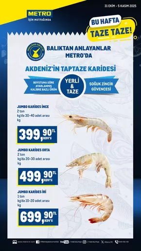 Metro kataloğu, Damal | Taze Ürünler | 2025-10-31T00:00:00.000Z - 2025-11-05T00:00:00.000Z