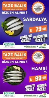 Pekdemir kataloğu, Sandıklı (Aydın) | Pekdemir katalog | 2025-11-01T00:00:00.000Z - 2025-11-15T00:00:00.000Z