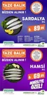 Pekdemir kataloğu, Doğanlı (Diyarbakır) | Keşfedilecek yeni teklifler | 2025-12-10T00:00:00.000Z - 2025-12-24T00:00:00.000Z