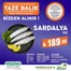 Pekdemir kataloğu, Seymen (İstanbul) | Tüm müşteriler için harika teklif | 2026-05-17T00:00:00.000Z - 2026-05-31T00:00:00.000Z