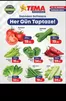 Tema Market kataloğu, Terme | Oferta | 2026-06-12T00:00:00.000Z - 2026-06-14T00:00:00.000Z
