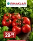 Irmaklar Market kataloğu | Oferta | 2026-06-17T00:00:00.000Z - 2026-06-18T00:00:00.000Z