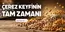 İyaş Hipermarket kataloğu | Sizin için özel teklifler | 2026-06-19T00:00:00.000Z - 2026-07-03T00:00:00.000Z
