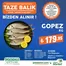 Pekdemir kataloğu, Alaşehir | Pekdemir katalog | 2026-06-22T00:00:00.000Z - 2026-07-06T00:00:00.000Z