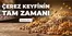 İyaş Hipermarket kataloğu | En iyi fırsatlarımız | 2026-07-16T00:00:00.000Z - 2026-07-30T00:00:00.000Z