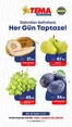 Tema Market kataloğu | Oferta | 2026-09-09T00:00:00.000Z - 2026-09-10T00:00:00.000Z