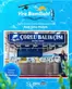 Zırhlı Toptan market kataloğu | Zırhlı Toptan market katalog | 2026-09-19T00:00:00.000Z - 2026-10-03T00:00:00.000Z