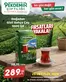 Pekdemir kataloğu | Özel fırsatlar ve indirimler | 2026-09-25T00:00:00.000Z - 2026-09-28T00:00:00.000Z