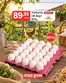 Anpa Gross kataloğu | Oferta | 2026-10-02T00:00:00.000Z - 2026-10-04T00:00:00.000Z