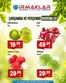 Irmaklar Market kataloğu | Oferta | 2026-10-15T00:00:00.000Z - 2026-10-15T00:00:00.000Z