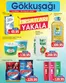 Gökkuşağı Market kataloğu | Ofertas exclusivas | 2026-10-23T00:00:00.000Z - 2026-11-05T00:00:00.000Z