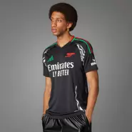 Arsenal 24/25 Away Jersey