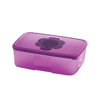 Wet / Dry Tissue Box