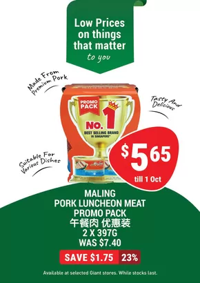 Giant catalogue in Singapore | Great offer for all customers | 2025-08-28T00:00:00.000Z - 2025-10-01T00:00:00.000Z