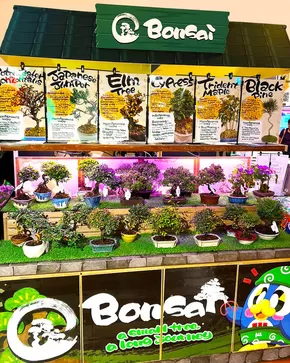 Don Don Donki catalogue | Top deals for all customers | 2025-09-16T00:00:00.000Z - 2025-09-30T00:00:00.000Z