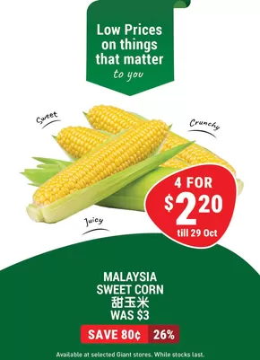 Giant catalogue in Singapore | Wide range of offers | 2025-10-02T00:00:00.000Z - 2025-10-29T00:00:00.000Z