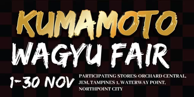 Don Don Donki catalogue | Discounts and promotions | 2025-11-01T00:00:00.000Z - 2025-11-30T00:00:00.000Z