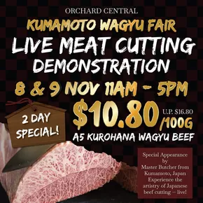 Don Don Donki catalogue in Singapore | Special offers for you | 2025-11-08T00:00:00.000Z - 2025-11-09T00:00:00.000Z