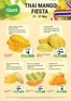 Giant catalogue | Mango Fiesta | 2026-05-21T00:00:00.000Z - 2026-05-27T00:00:00.000Z