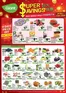 Giant catalogue | Super Savings | 2026-10-29T00:00:00.000Z - 2026-11-04T00:00:00.000Z