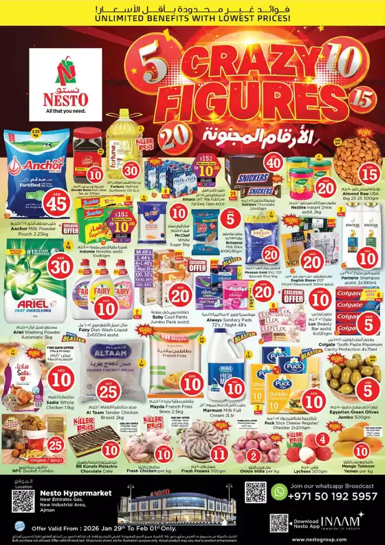 Nesto catalogue in Al Dhaid | Great discounts on selected products | 2026-01-29T00:00:00.000Z - 2026-02-01T00:00:00.000Z