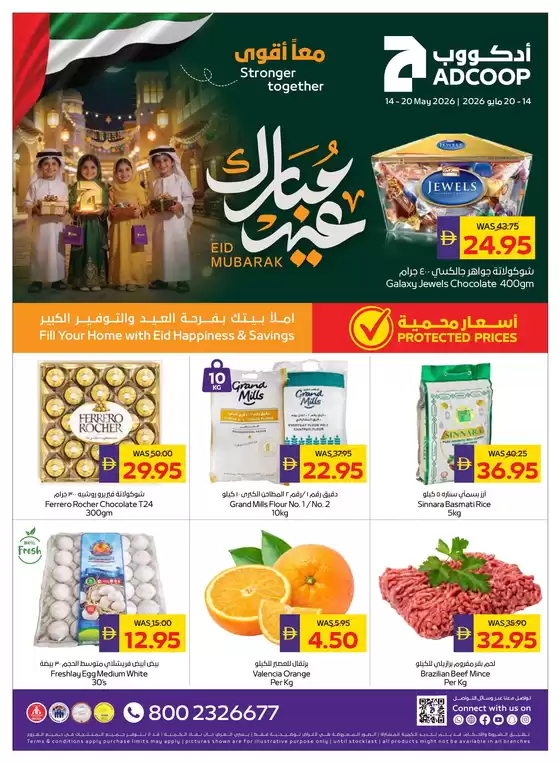 main_flyer image