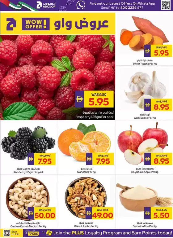 main_flyer image
