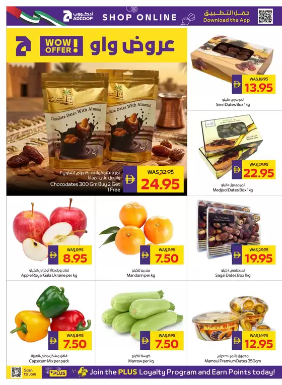 main_flyer image