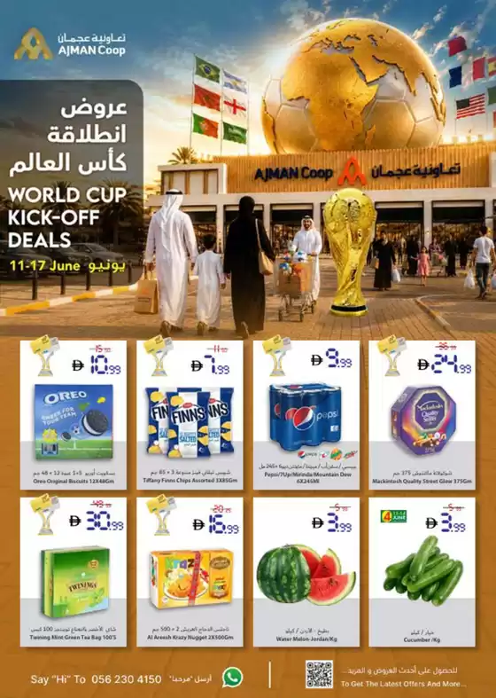 main_flyer image