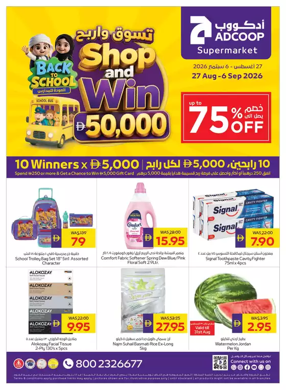 main_flyer image