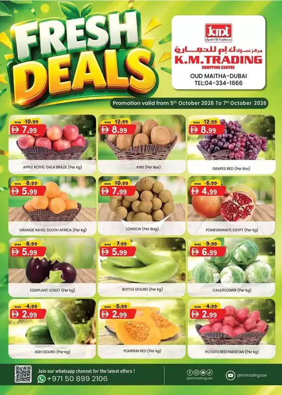 main_flyer image