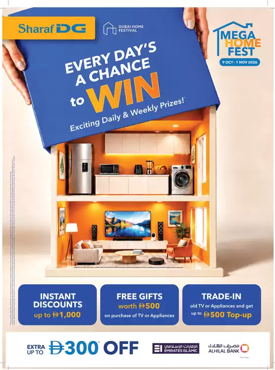 main_flyer image