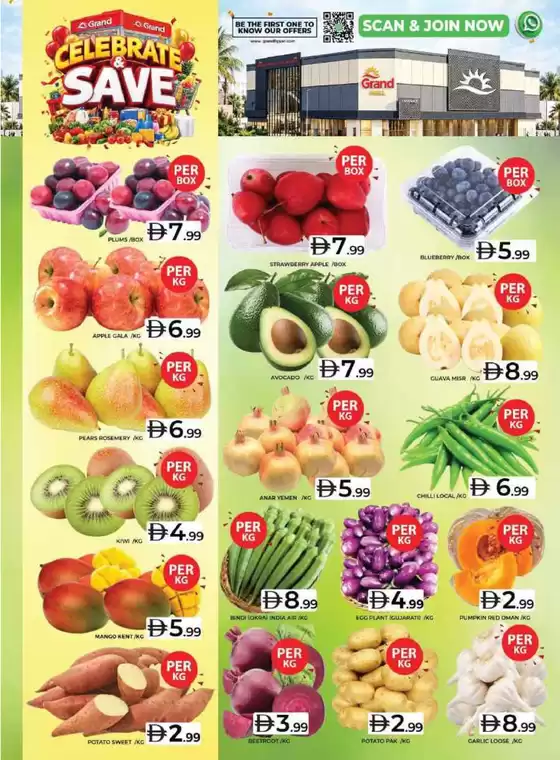 main_flyer image