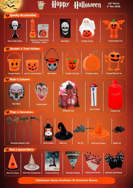 main_flyer image