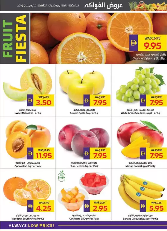 Back To School Offers - Adcoops