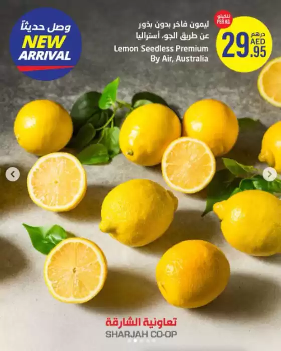 Say Hello to Our Fresh Vitamin C Arrivals! 