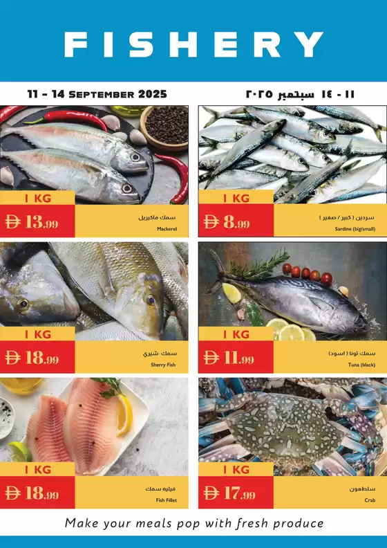 Istanbul Supermarket catalogue in Ajman | Wide selection of offers | 2025-09-16T00:00:00.000Z - 2025-09-30T00:00:00.000Z