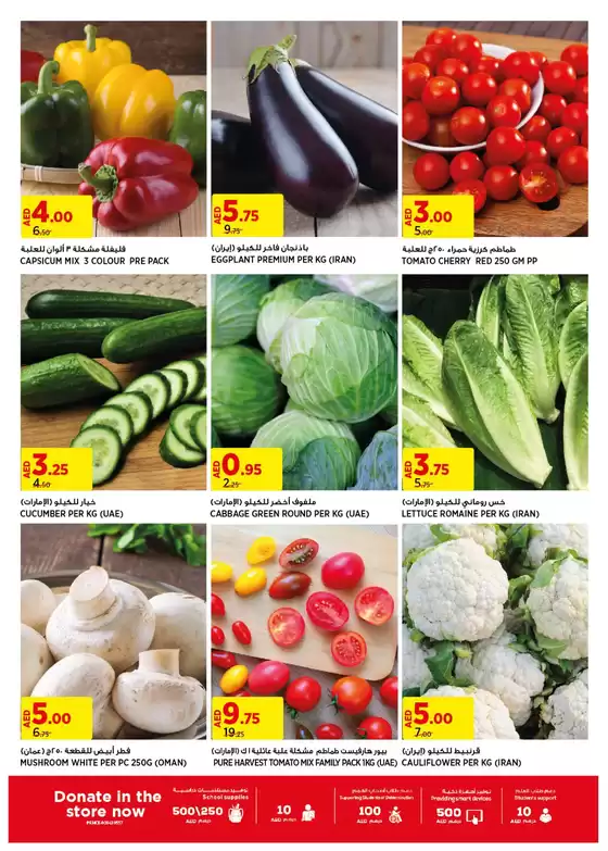 Our best bargains