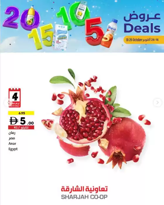  Big Savings, Bigger Smiles! 