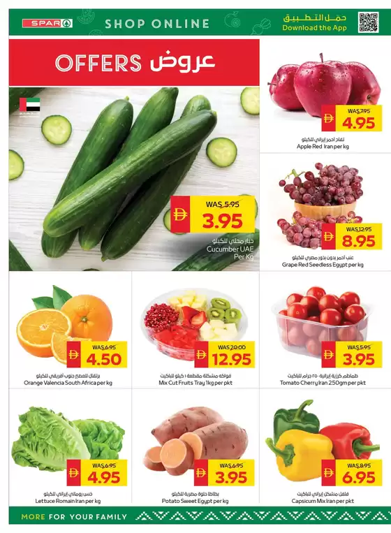 New offers to discover