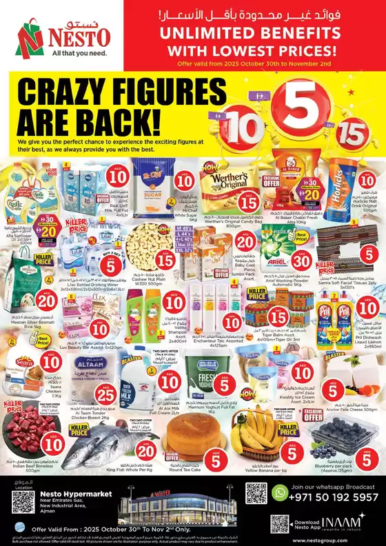 Nesto catalogue in Al Dhaid | Nesto CRAZY FIGURES ARE Back | 2025-10-31T00:00:00.000Z - 2025-11-02T00:00:00.000Z